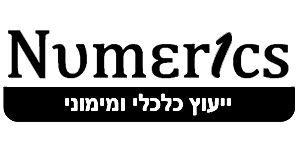 נומריקס יעוץ כלכלי - לוגו