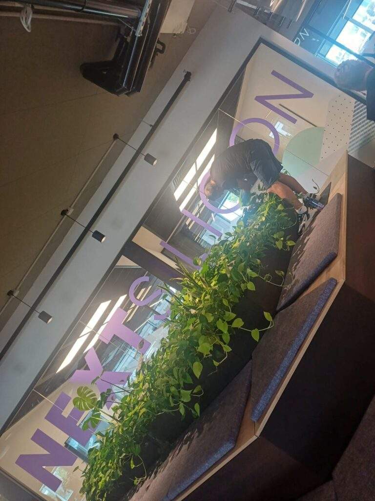 אזור קבלה עם צמחייה במשרד לקוח לאחר ניקיון